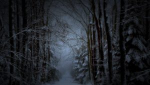 Robert Frost – Erdőszélen mélázva egy havas estén